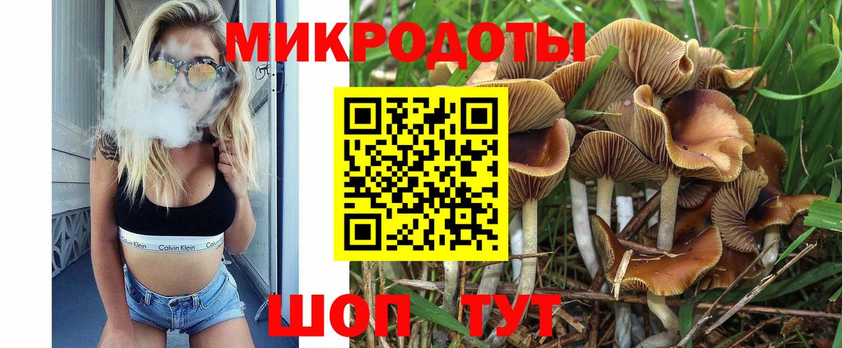 Галлюциногенные грибы Magic Shrooms  Вход с VPN  Псилоцибиновые грибы Psilocybe  Шали 